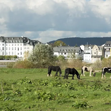 Rheinhotel Larus 4*