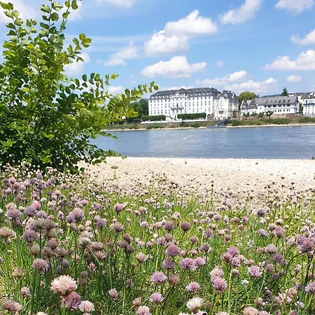 Rheinhotel Larus Hotell