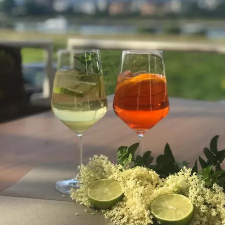 Rheinhotel Larus Kaltenengers