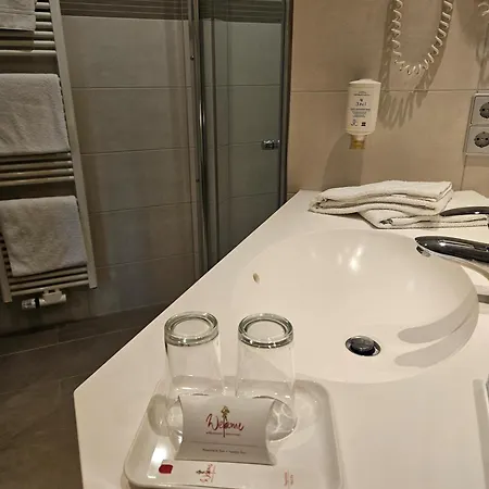 Rheinhotel Larus Hotell