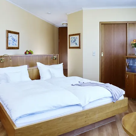 Rheinhotel Larus Hotell 4*