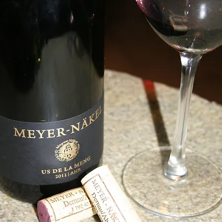 Hotel Rheinhotel Larus 4*