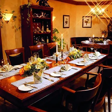 Rheinhotel Larus Hotel