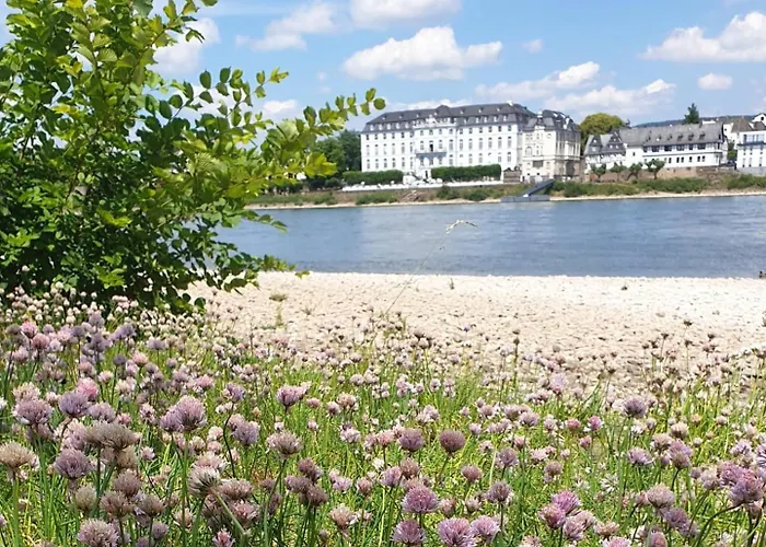 Rheinhotel Larus Hotel