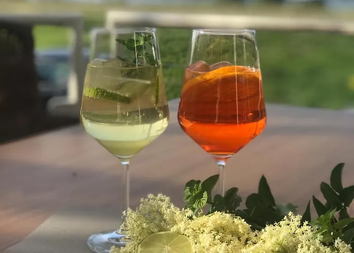 Rheinhotel Larus Kaltenengers