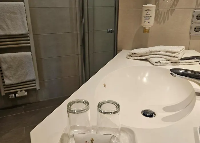 Rheinhotel Larus Hotel