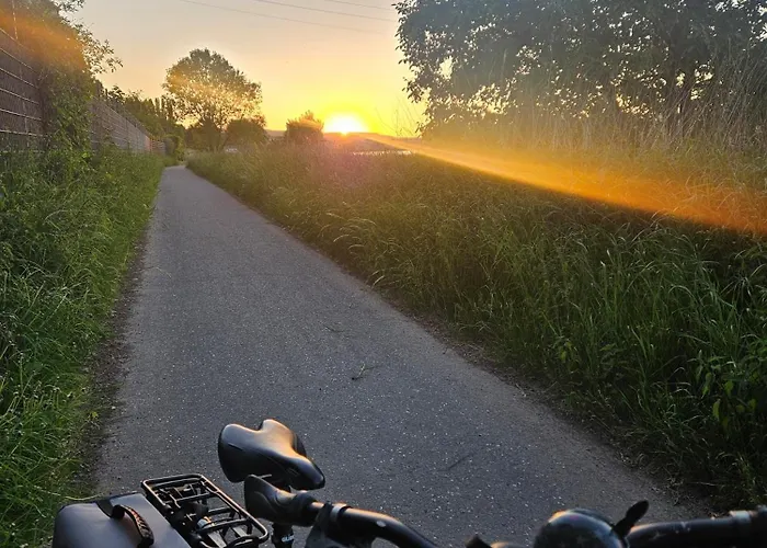 Rheinhotel Larus Hotel 4*