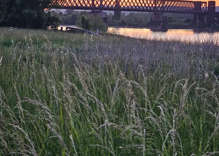 Rheinhotel Larus 4* Kaltenengers