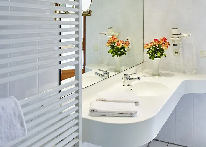 Hotel Rheinhotel Larus