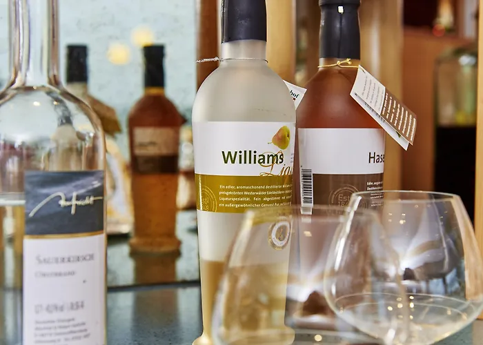 Rheinhotel Larus Hotel