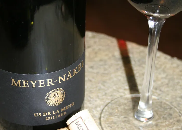 Hotel Rheinhotel Larus 4*