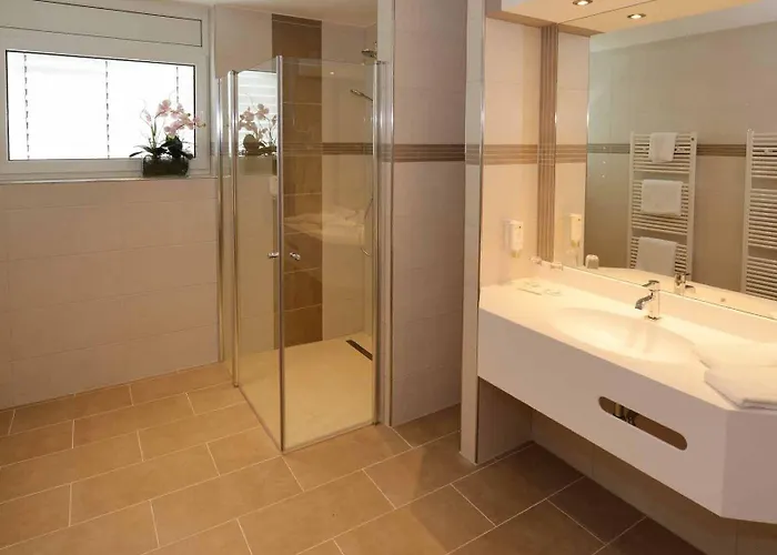 Hotel Rheinhotel Larus Kaltenengers