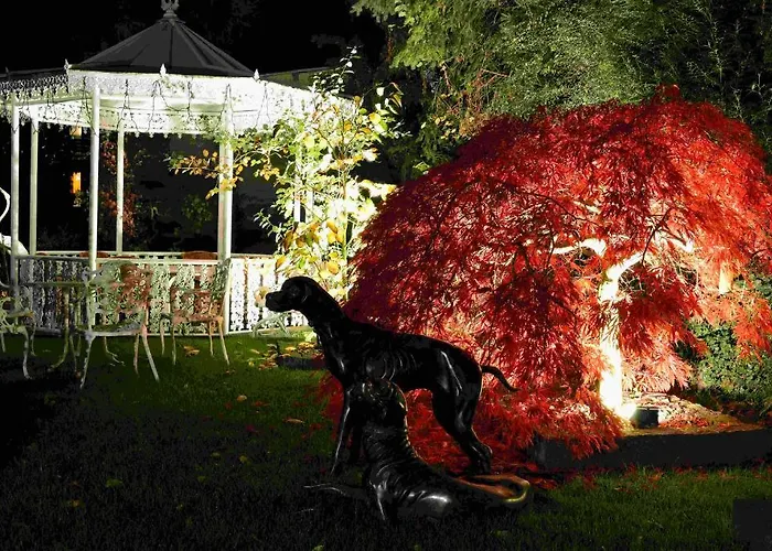 Hotel Rheinhotel Larus